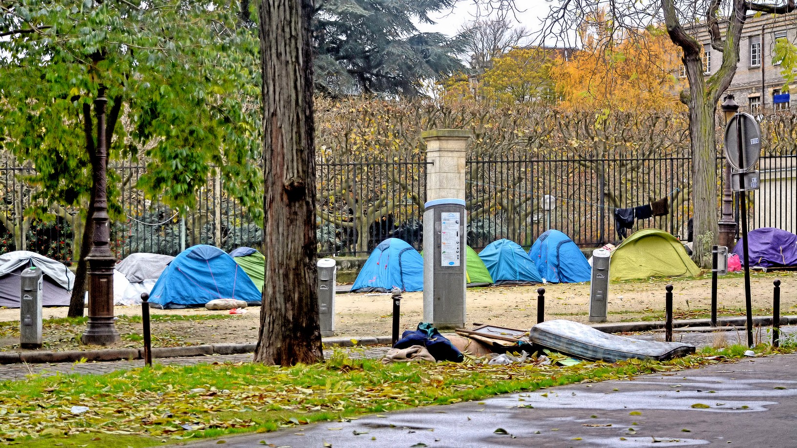 © Carl Campbell Image