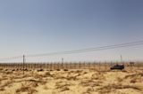 LIBERATION SINAI