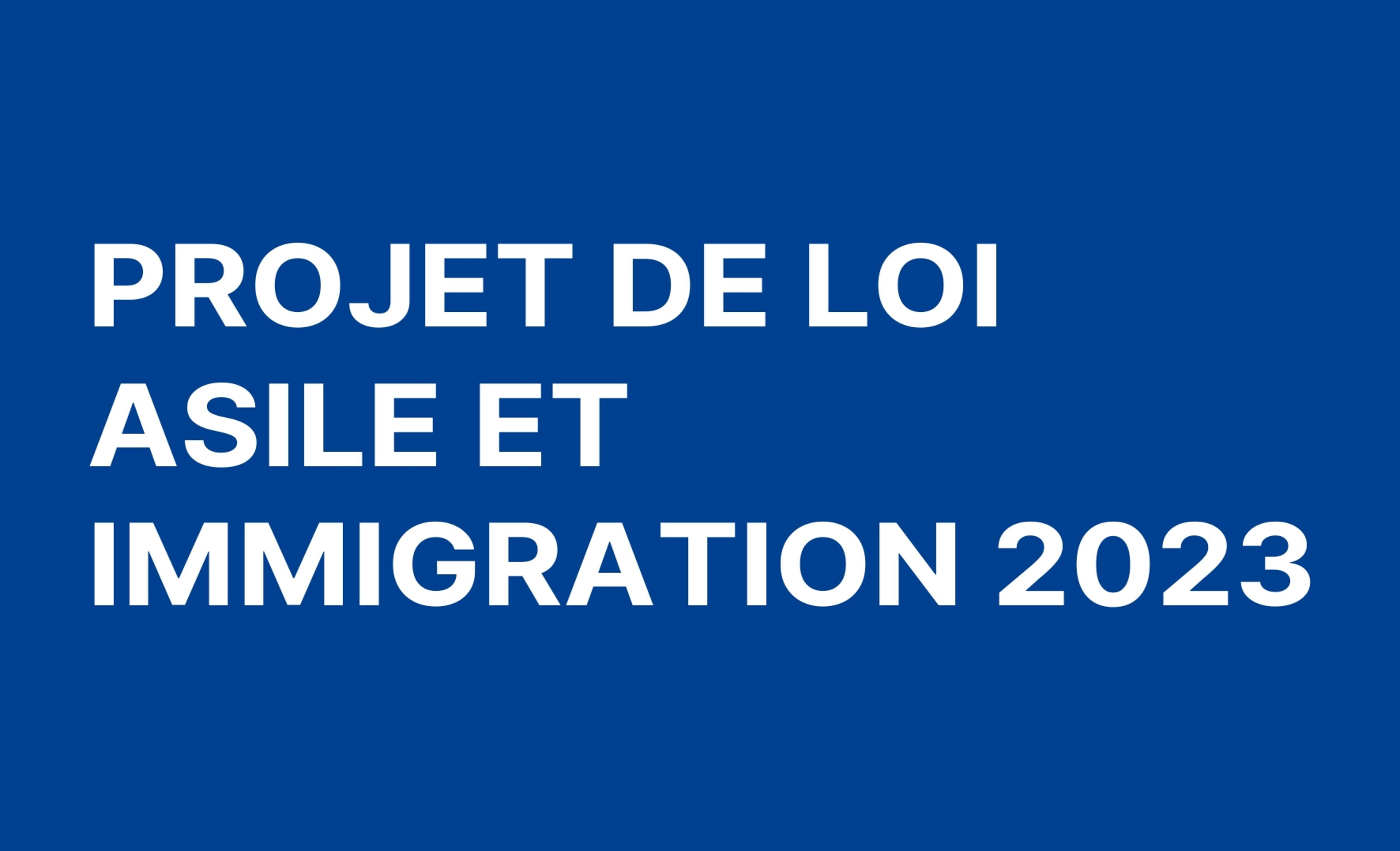 Projet de loi asile et immigration 2023 notre décryptage